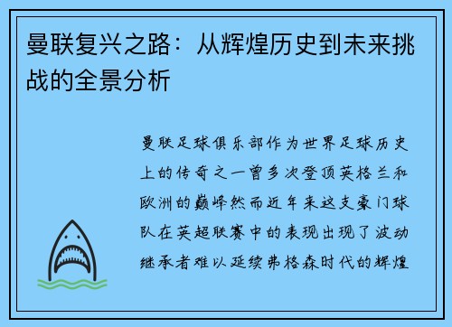 曼联复兴之路：从辉煌历史到未来挑战的全景分析
