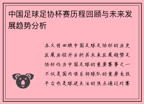中国足球足协杯赛历程回顾与未来发展趋势分析