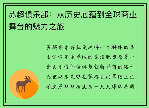 苏超俱乐部：从历史底蕴到全球商业舞台的魅力之旅